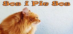 Logo: Sos i Pie Sos
