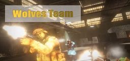 Logo: Wolves Team