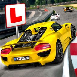 Logo: Race Driving License Test