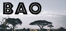 Logo: BAO