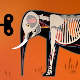 Logo: Mammals
