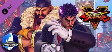Game cover: Street Fighter V: Capcom Pro Tour 2019 Premier Pass