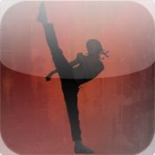 Game cover: The Karate Kid