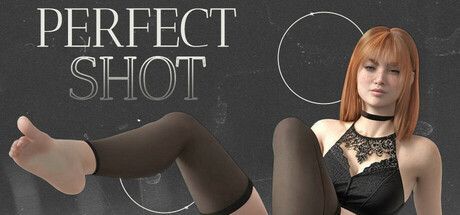 Game cover: Perfect Shot
