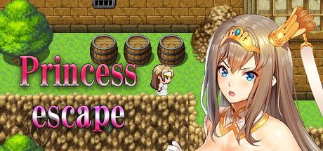 Game cover: Princess escape