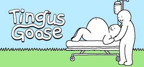Game cover: Tingus Goose