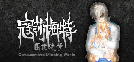 Game cover: Consummate Missing World