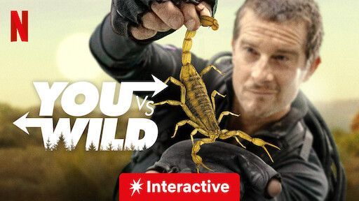 Game cover: You vs. Wild