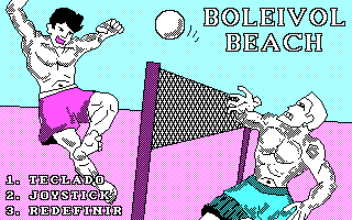 Game cover: Boleivol Beach