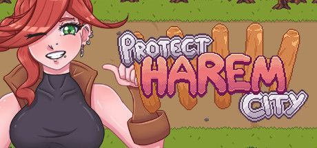 Game cover: Protect Harem City