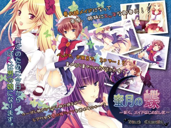 Game cover: Honeymoon Butterfly: I Am Become Maid