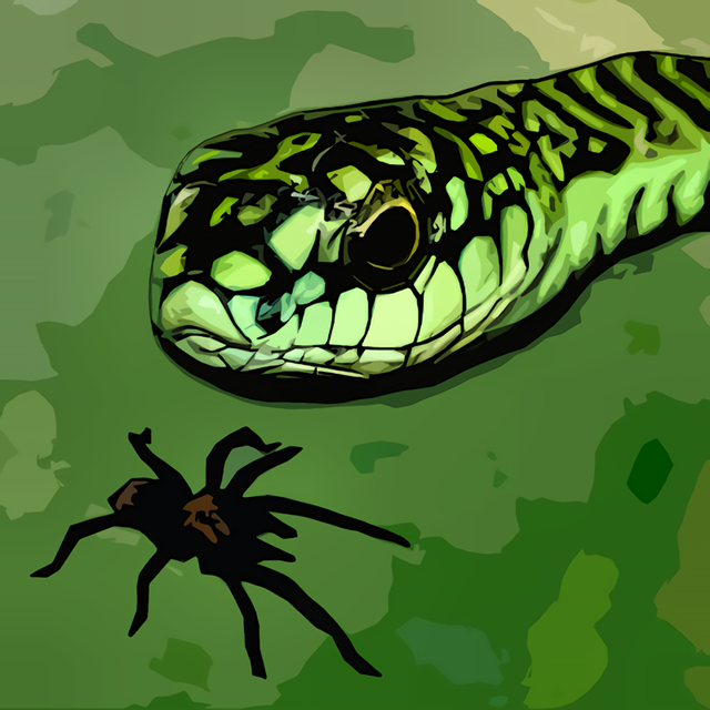 Game cover: Tarantula vs Snake