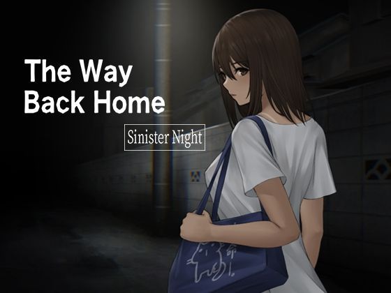 Game cover: The Way Back Home: Sinister Night