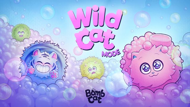 Game cover: Bomb Cat: Wild Cat Mode