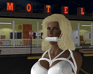 Game cover: Motel Bondage