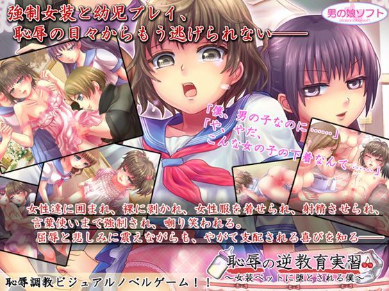 Game cover: Shameful Reverse Education