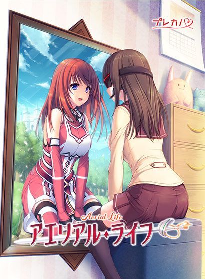 Game cover: Aerial Life