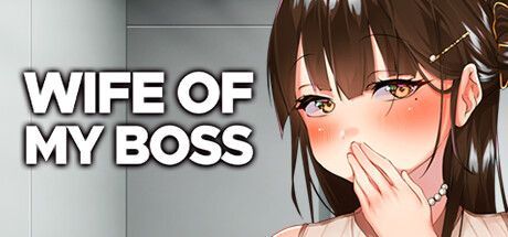 Game cover: NTR Boss