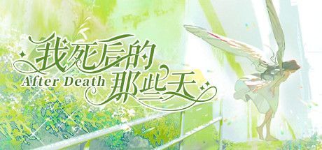 Game cover: After Death