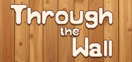 Game cover: Through the Wall