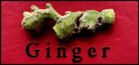 Game cover: Ginger