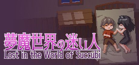 Game cover: Lost in the World of Succubi