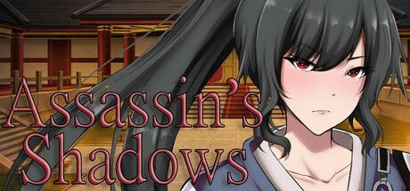 Game cover: Assassin's Shadows