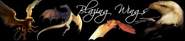 Game cover: Blazing Wings