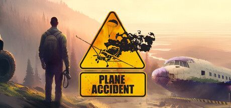 Game cover: Plane Accident