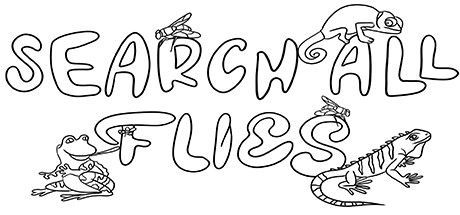 Game cover: Search All: Flies