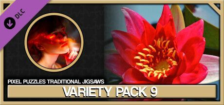 Game cover: Pixel Puzzles Traditional Jigsaws: Variety Pack 9