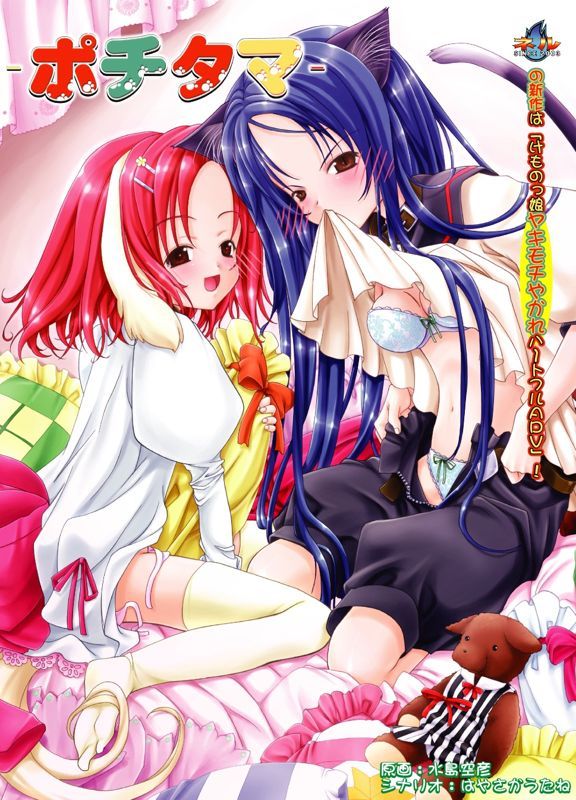 Game cover: Pochitama