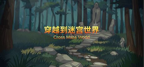 Game cover: Cross Maze World