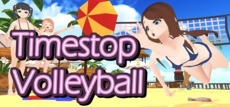 Game cover: Timestop Volleyball