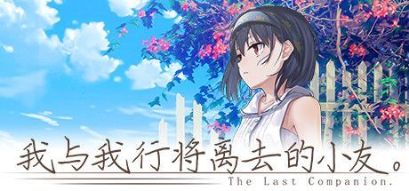 Game cover: The Last Companion