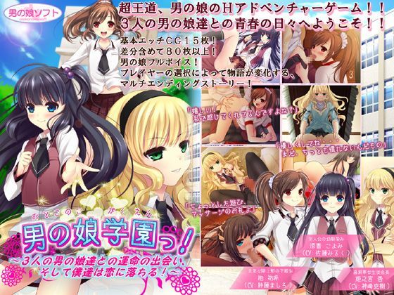 Game cover: School of Transvestite Boys!