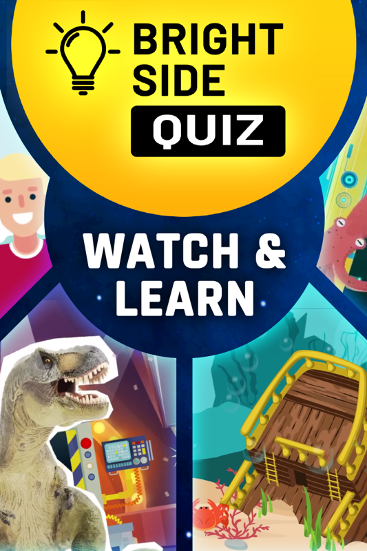 Game cover: Bright Side: Quiz - Watch & Learn DLC
