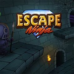 Game cover: Escape Ninja