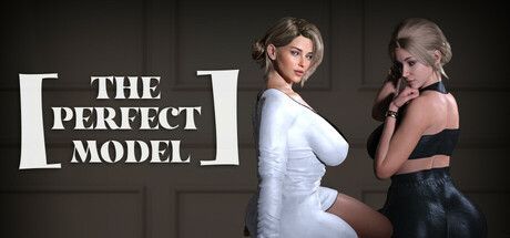 Game cover: The Perfect Model