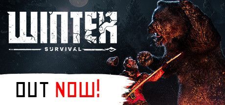 Game cover: Winter Survival