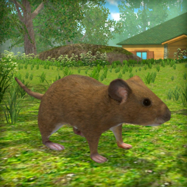 Game cover: Mouse Simulator