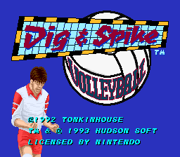 Game cover: Dig & Spike Volleyball