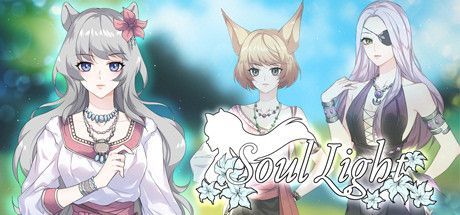Game cover: Soul Light
