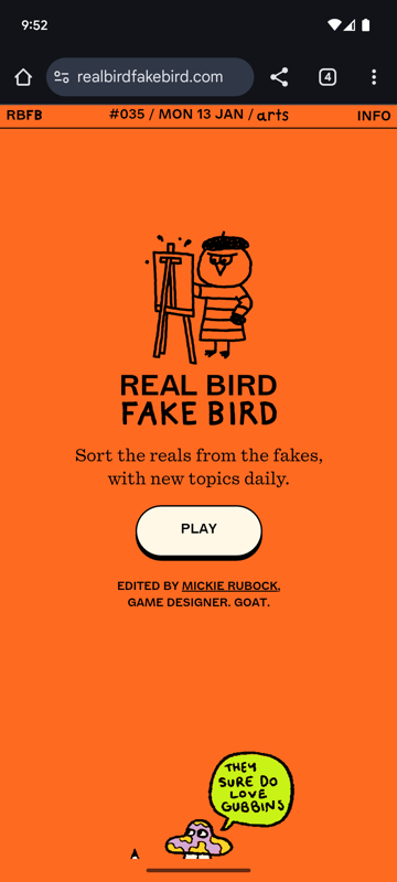 Game cover: Real Bird, Fake Bird