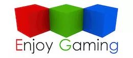 Logo: Enjoy Gaming Ltd.