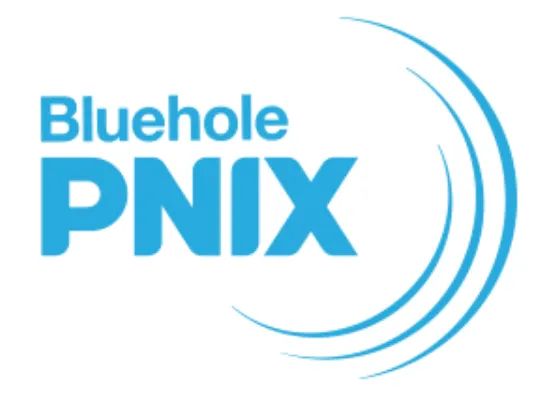 Logo: Bluehole PNIX