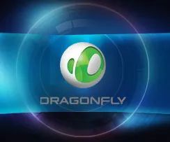 Logo: Dragonfly Co. Ltd.