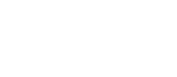 Logo: Tribal Storm