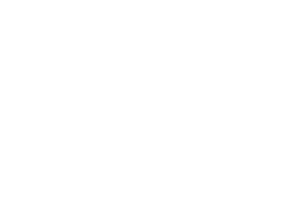 Logo: Dragonbaby LLC