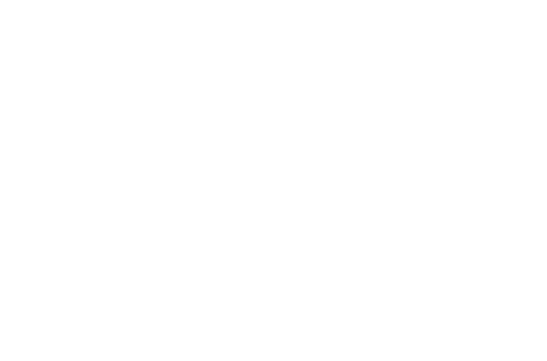 Logo: Secret Level Studios